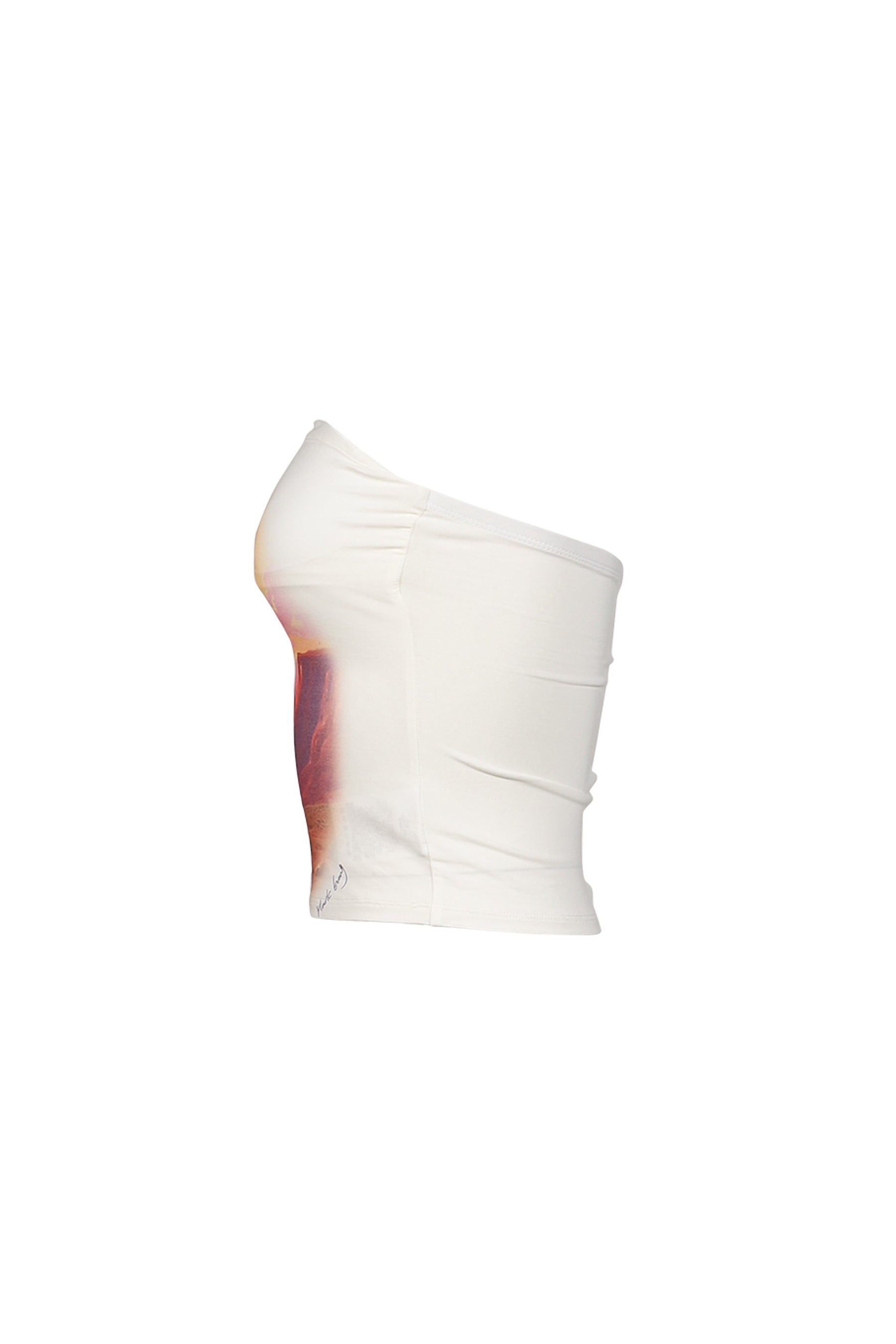 FLYING OVER THE CANYON RETRO PRINT TUBE TOP / WHT
