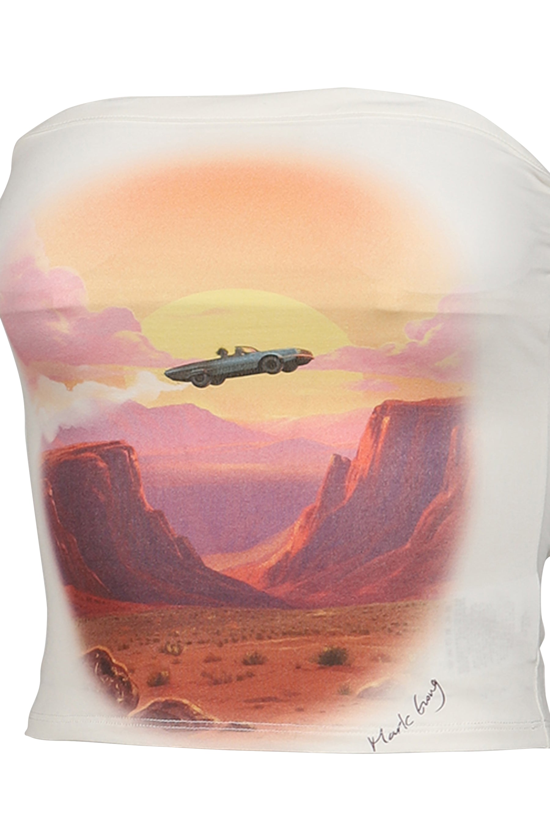 FLYING OVER THE CANYON RETRO PRINT TUBE TOP / WHT