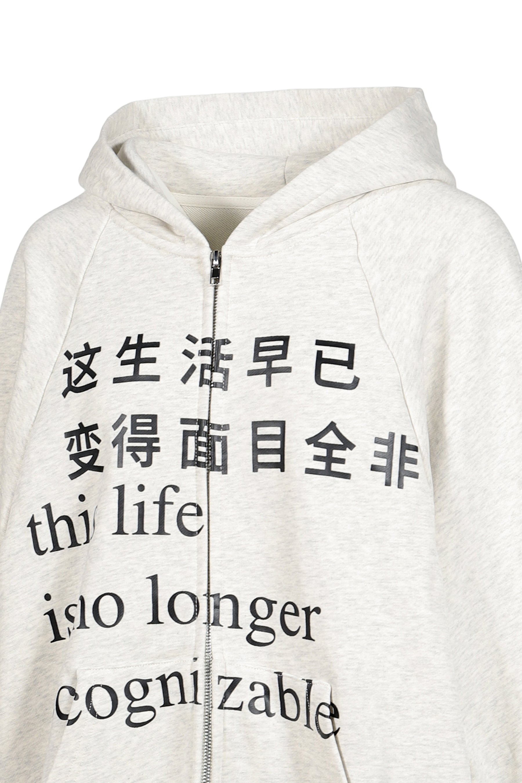 THIS LIFE HOODIE / GRY