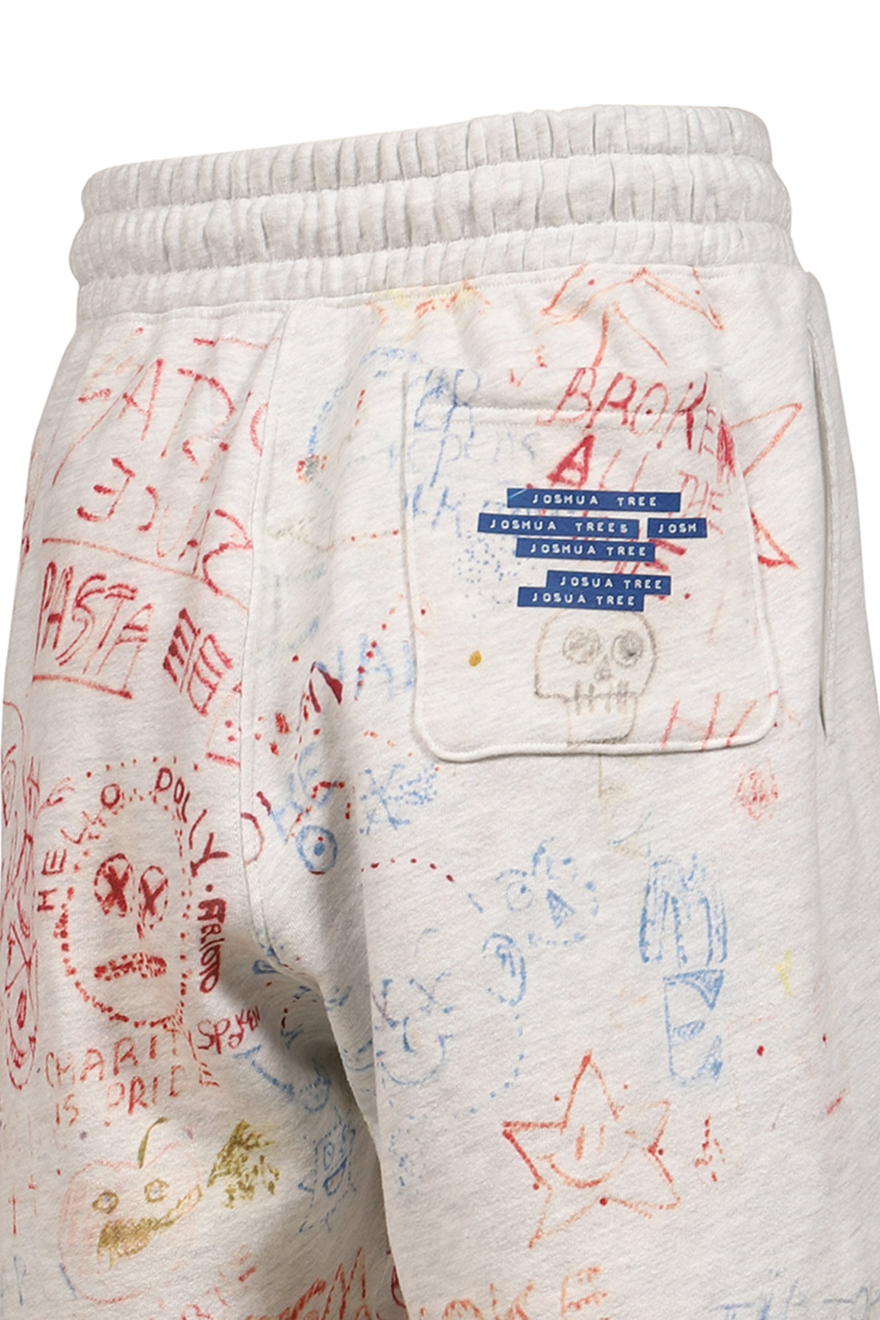JOSHUA TREE SWEAT SHORT / MULTI
