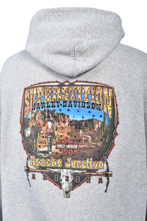 ARIZONA ZIP HOODIE / GRY