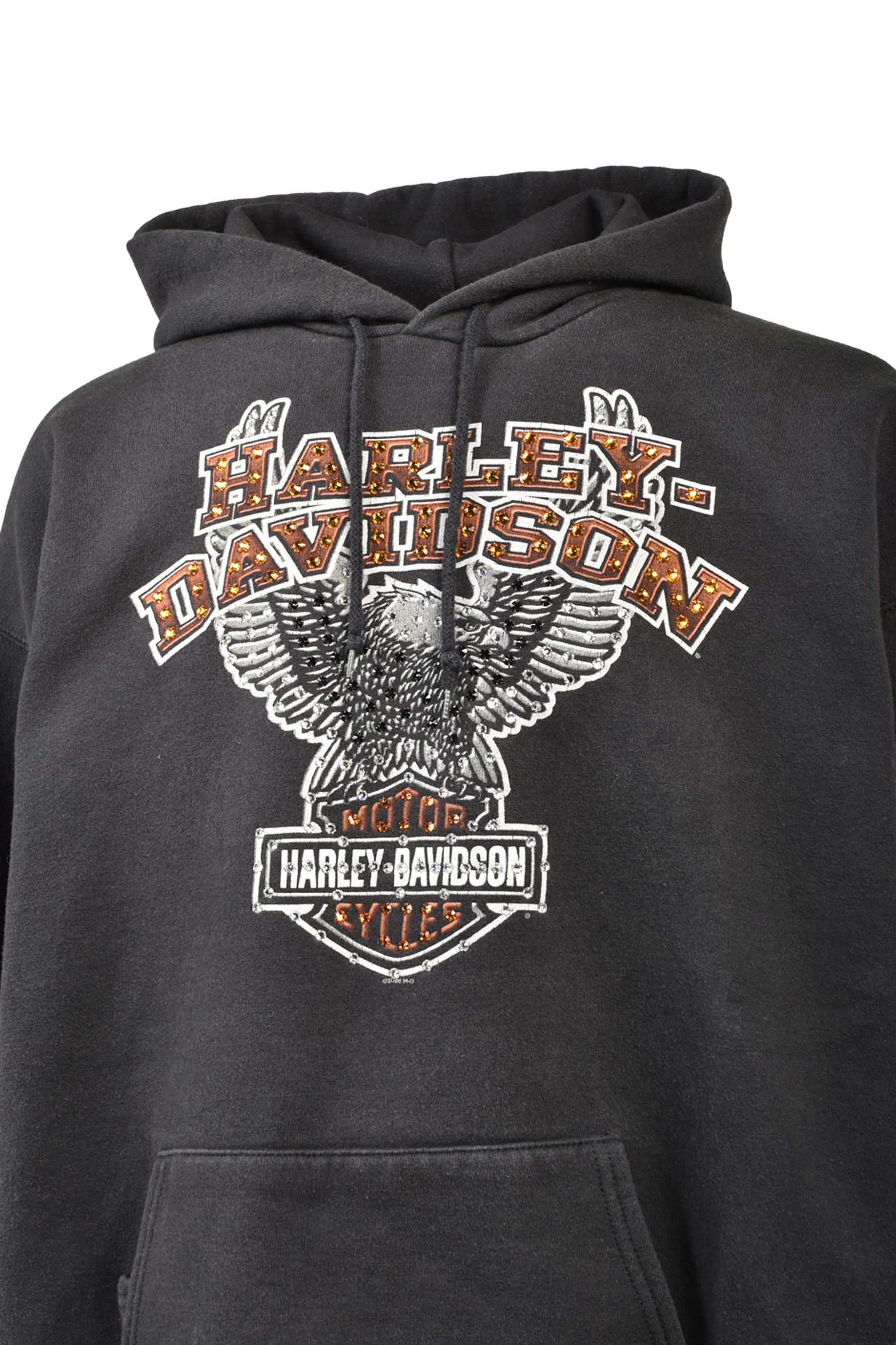 STURGIS,MI HOODIE / BLK