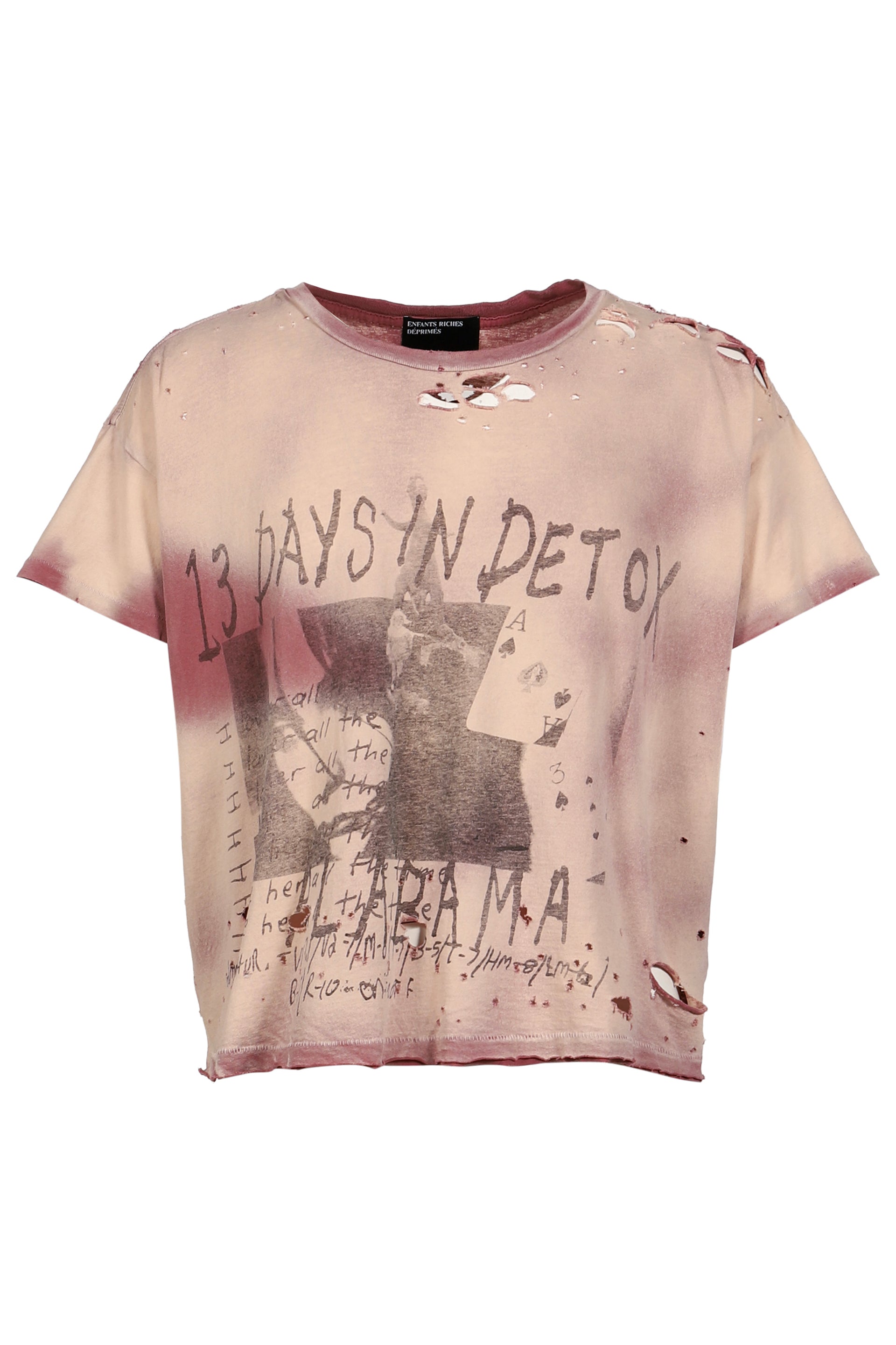 13 DAYS IN DETOX T-SHIRT / DESTROYED BRW