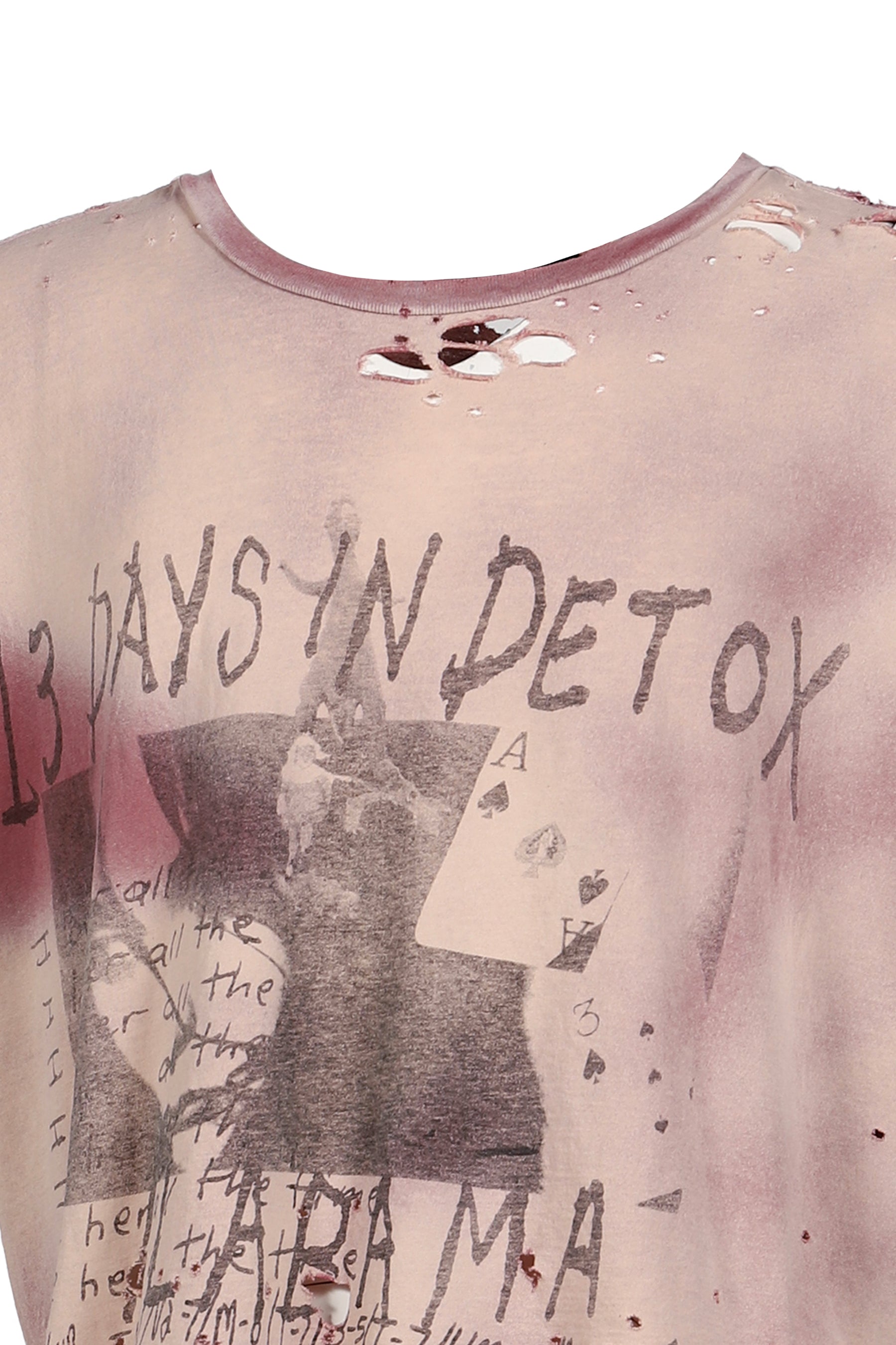 13 DAYS IN DETOX T-SHIRT / DESTROYED BRW