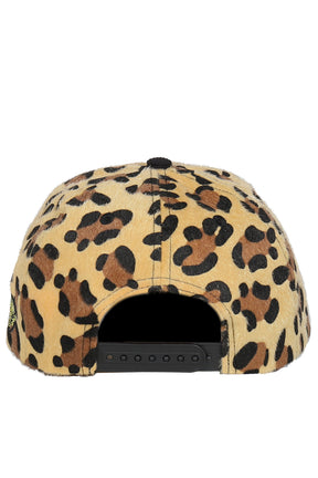 CITA TRUCKER HAT / BLK
