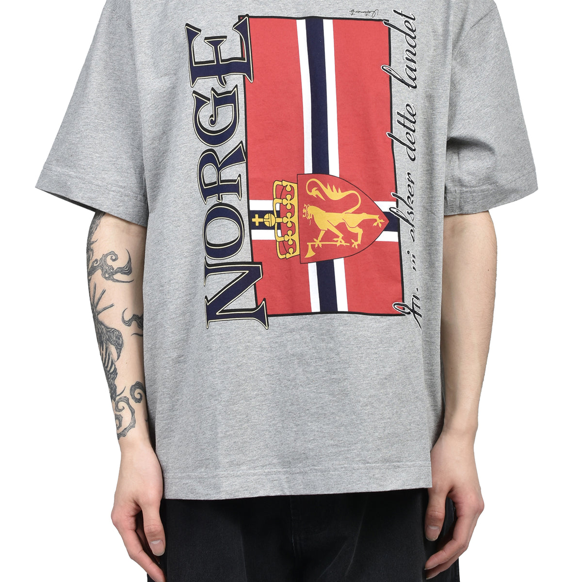 ヴェトモン vetments VETEMENTS ヴェトモン SS26 NORWAY TOURIST T-SHRIT / GRY MELANGE