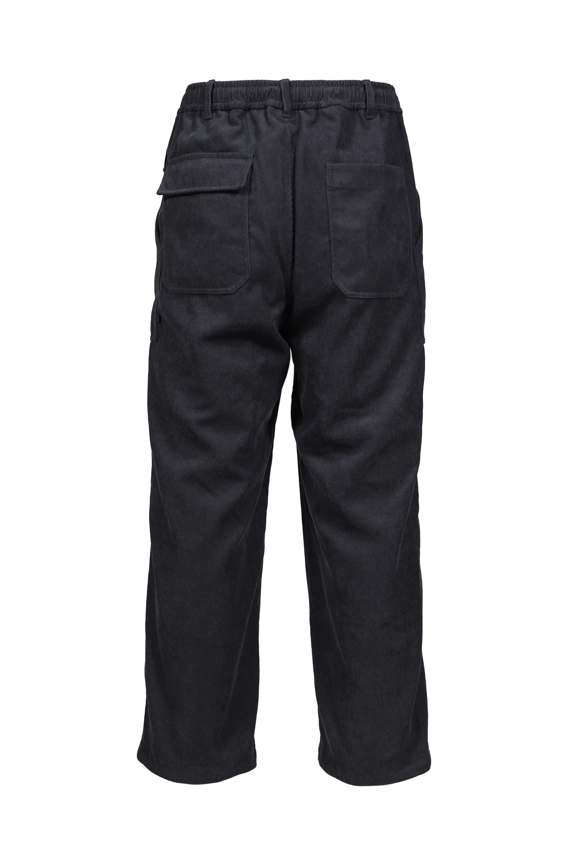 TECH MECHANICS PANTS CORDUROY / D.NVY