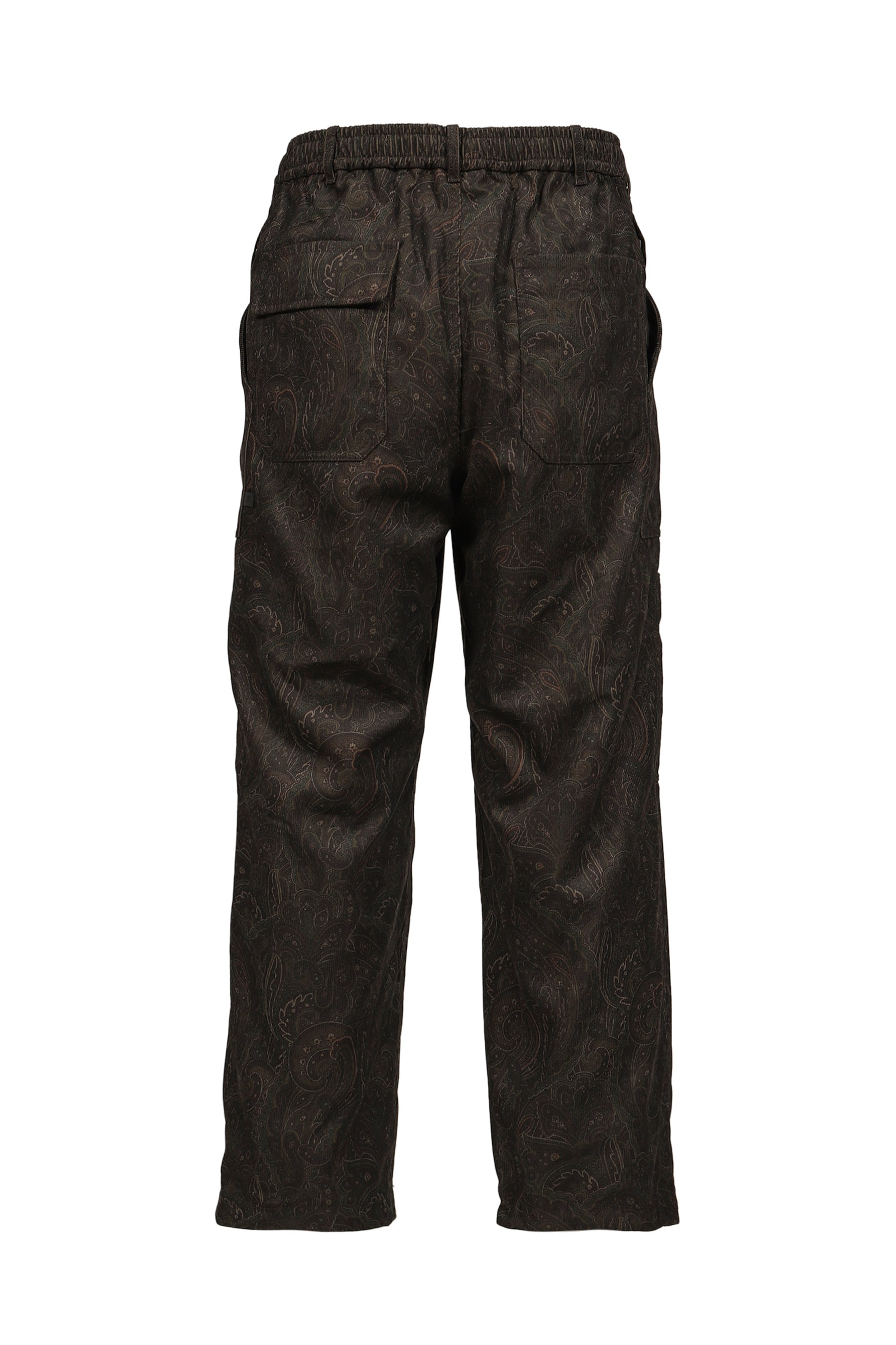 TECH MECHANICS PANTS CORDUROY PAISLEY / D.BRW