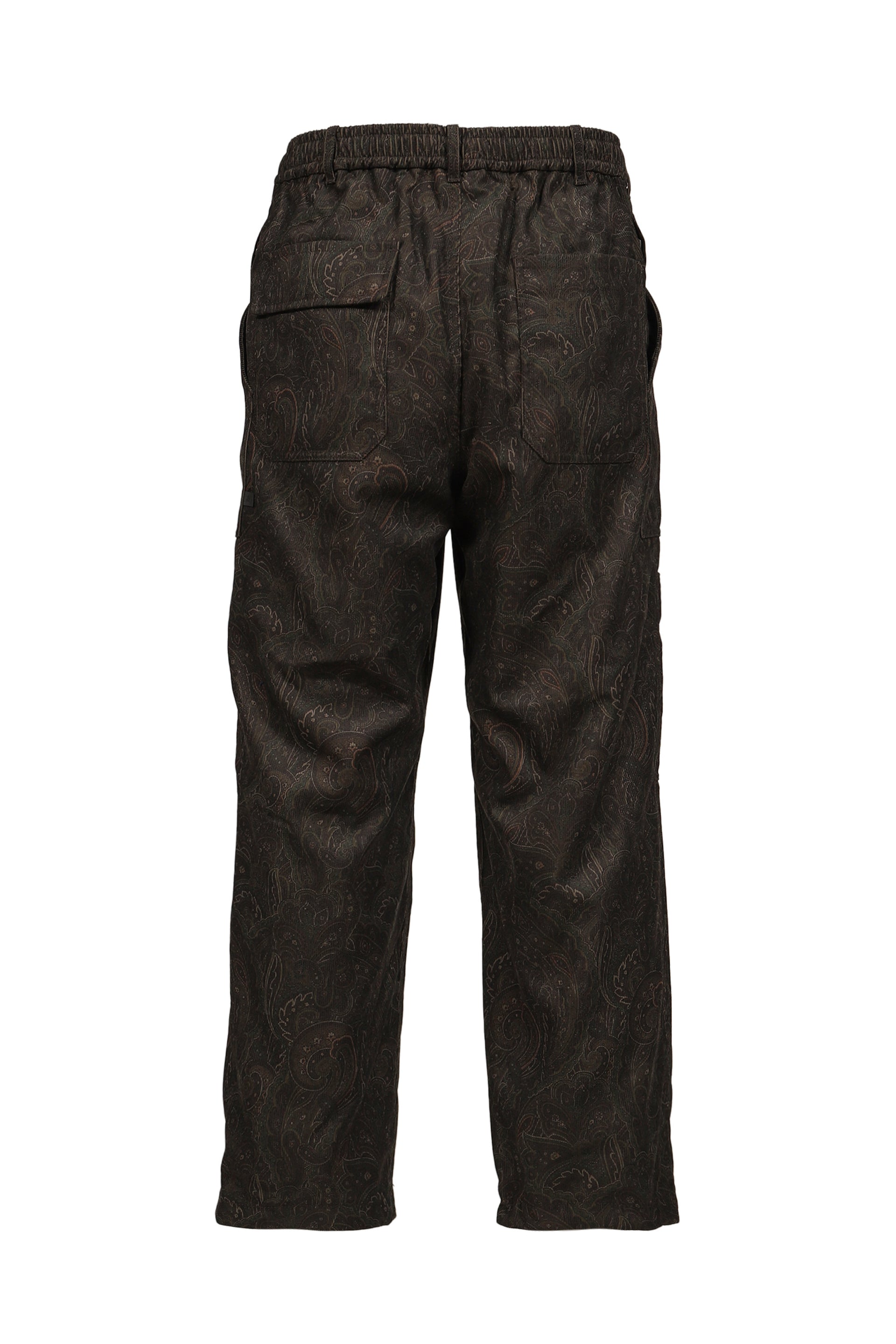 TECH MECHANICS PANTS CORDUROY PAISLEY / D.BRW
