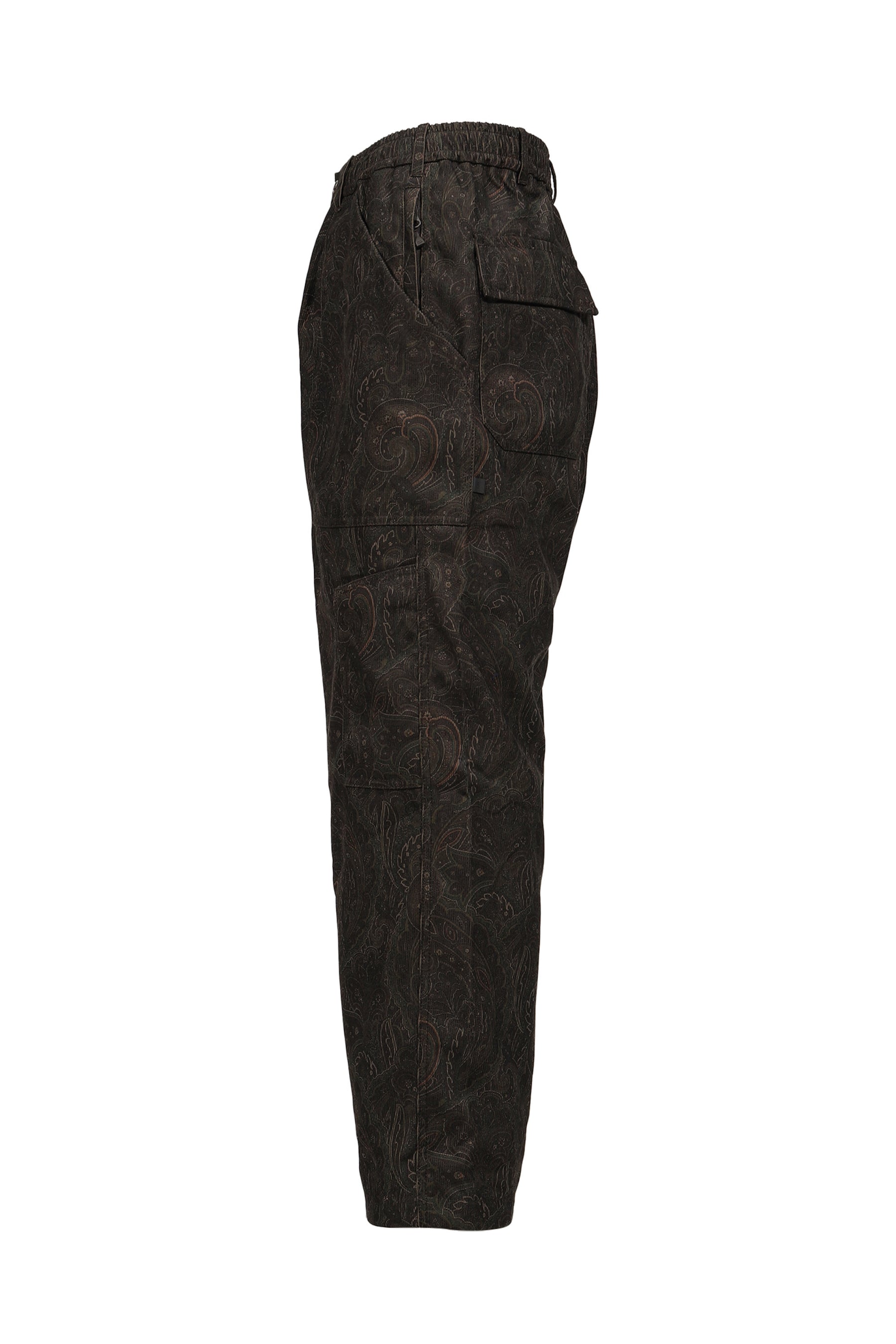 TECH MECHANICS PANTS CORDUROY PAISLEY / D.BRW