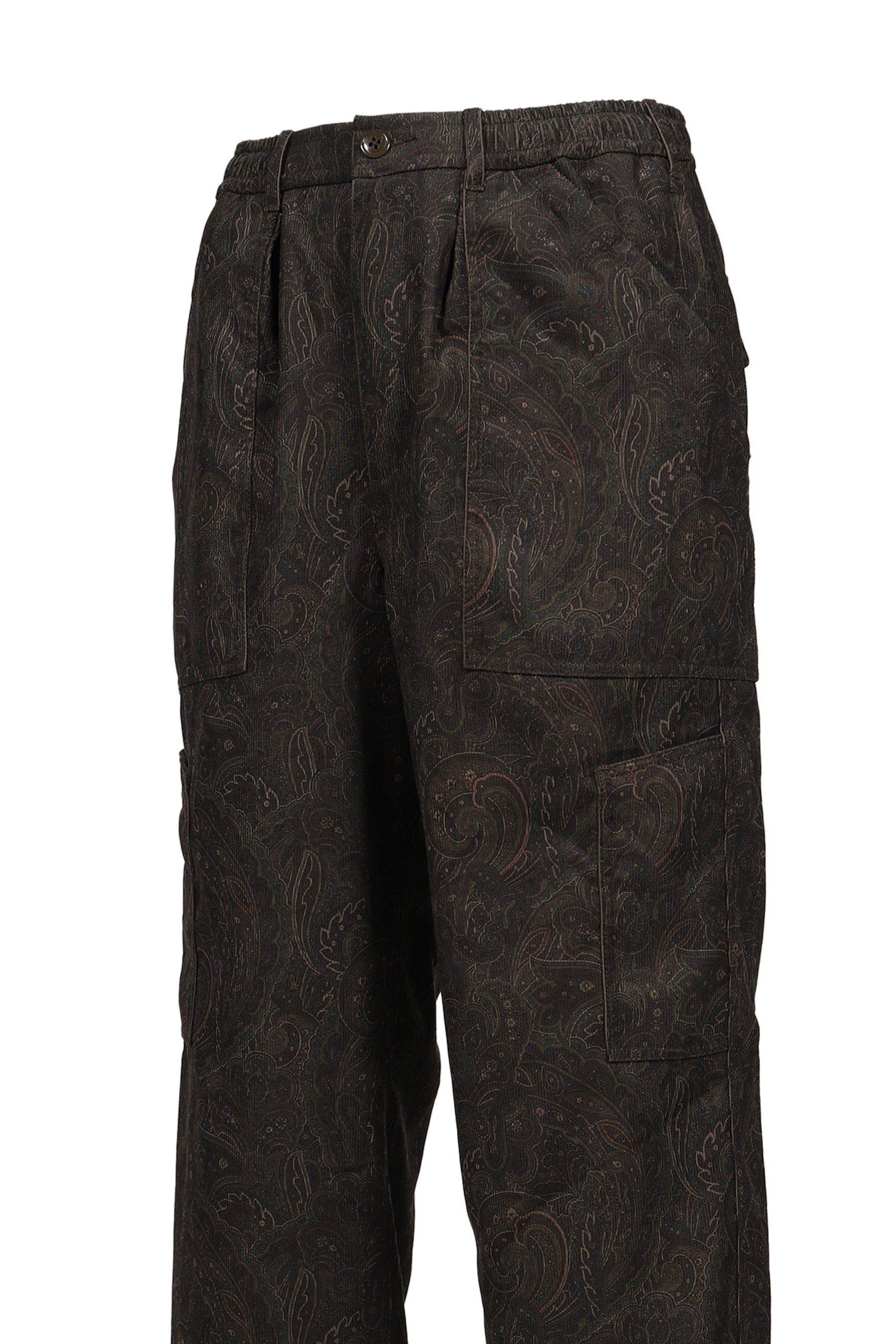 TECH MECHANICS PANTS CORDUROY PAISLEY / D.BRW
