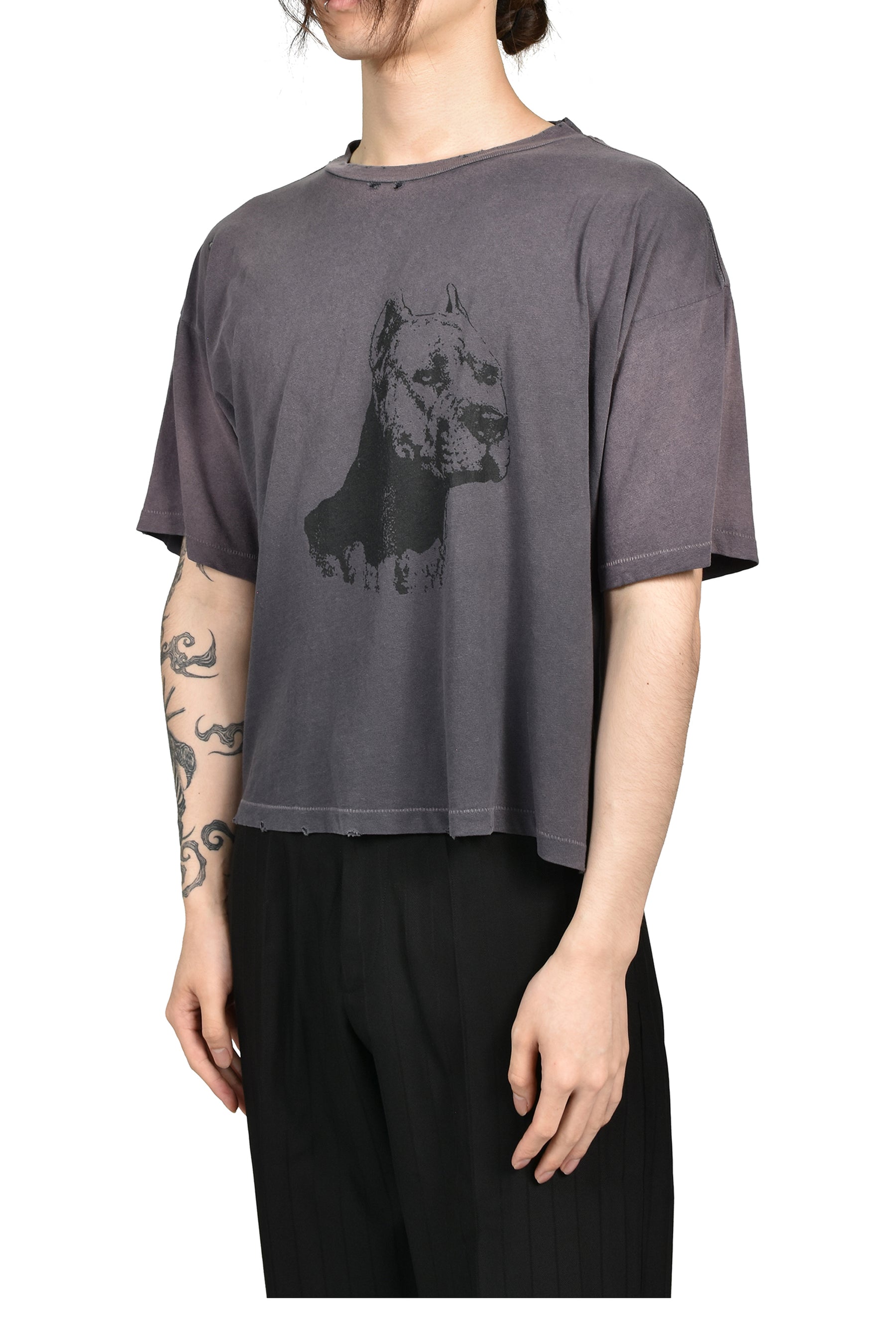 NA PITBULL T-SHIRT (20TH EXCLUSIVE) / TRASHED BLK