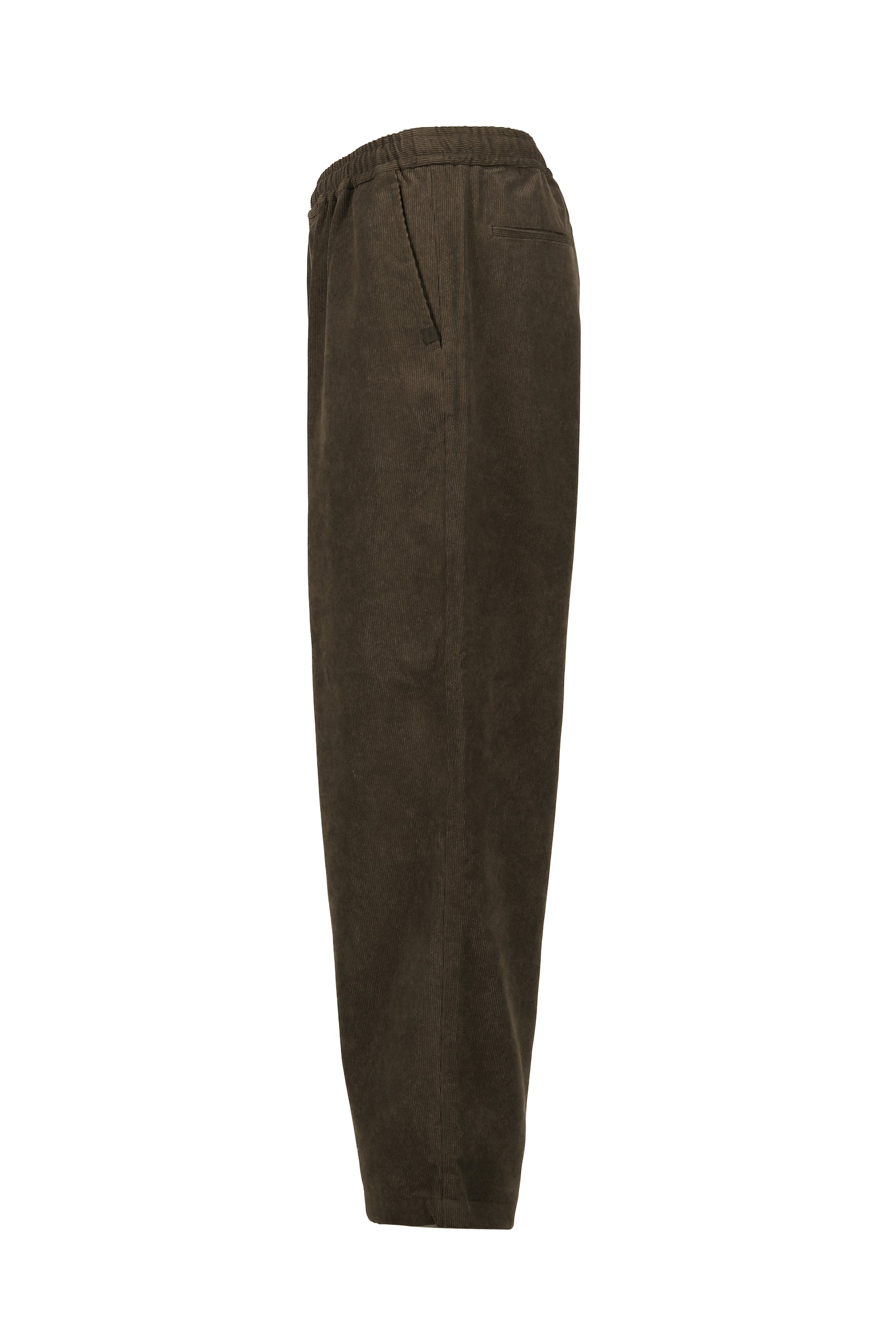 DAIWA PIER39 ダイワ ピア 39 TECH EASY TROUSERS CORDUROY / BRW KHA