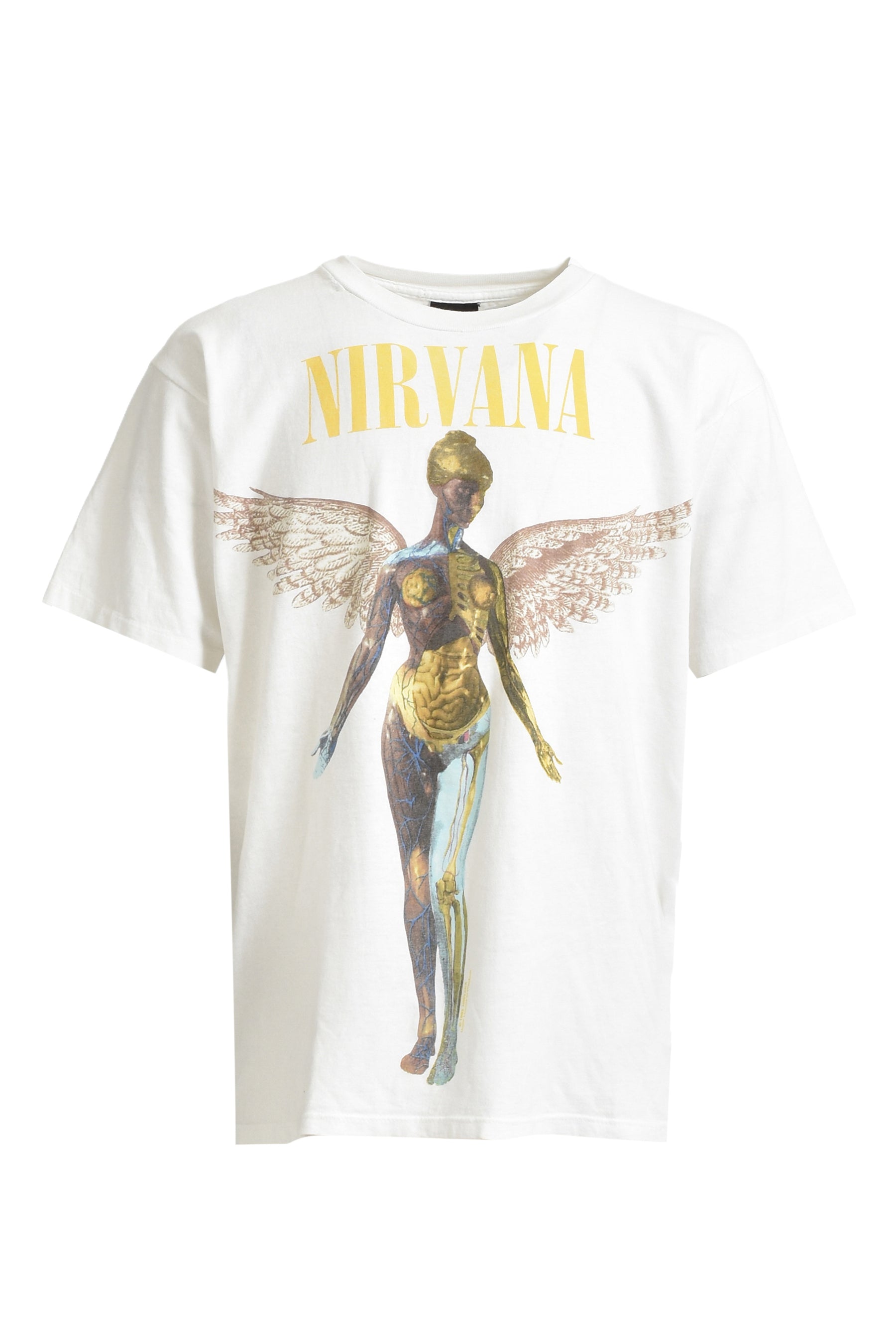 NIRVANA IN UTERO / MULTI