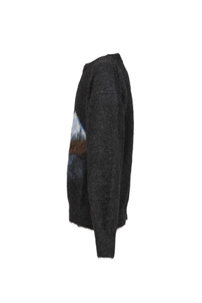 BRUSHED EAGLE PULLOVER / CHA
