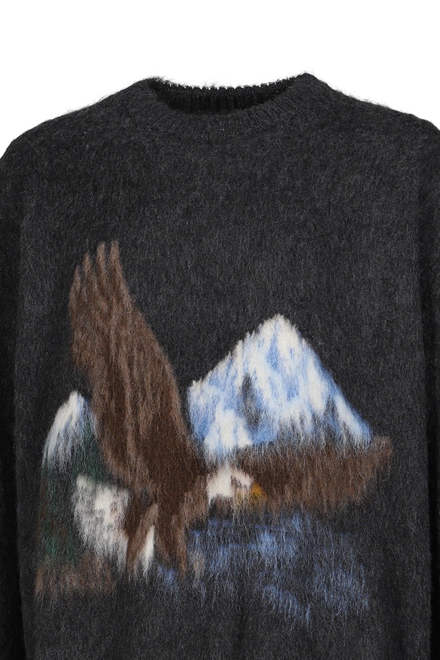 BRUSHED EAGLE PULLOVER / CHA