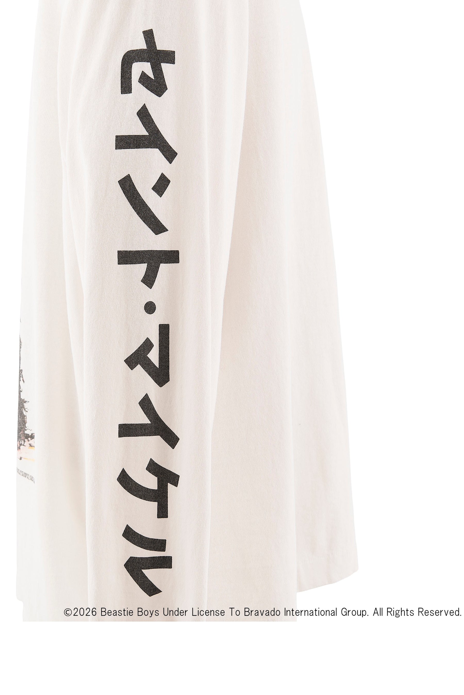 SAINT Mxxxxxx × Beastie Boys SAINT MICHAEL Beastie Boys