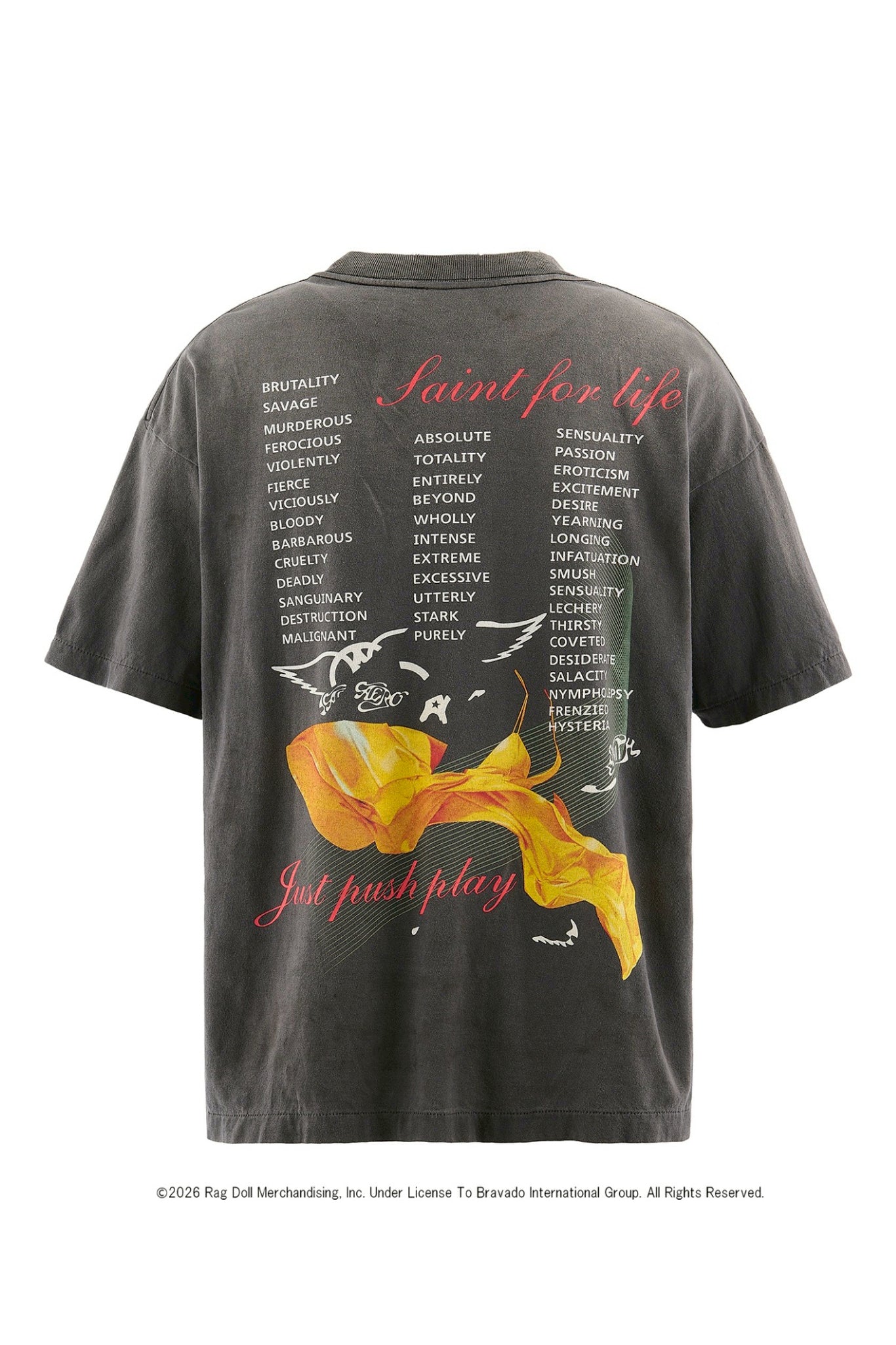 AS_SS T-SHIRT/AEROSMITH / BLK