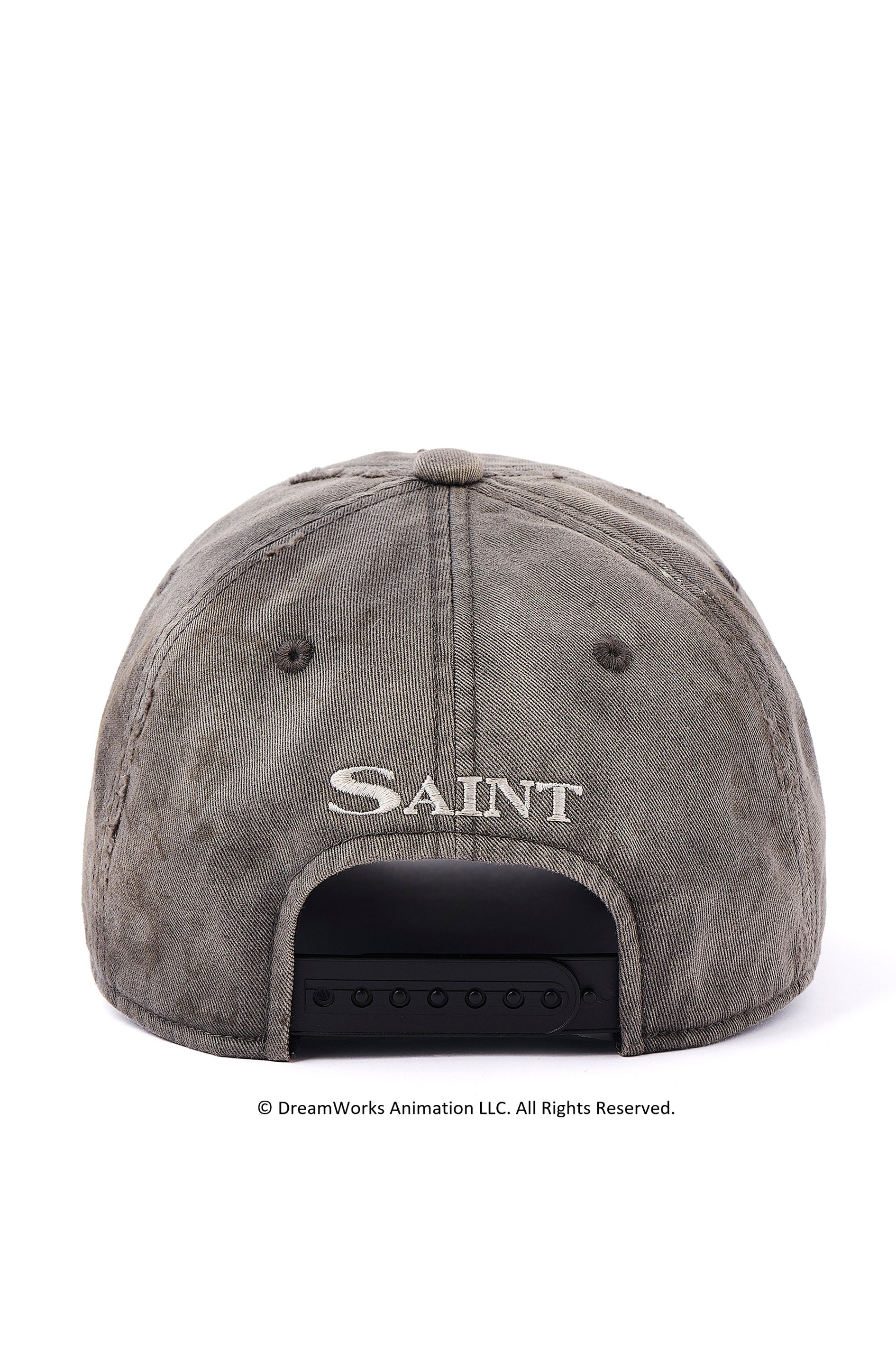 DW_CAP/SAINT / CHA