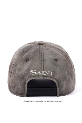 DW_CAP/SAINT / CHA