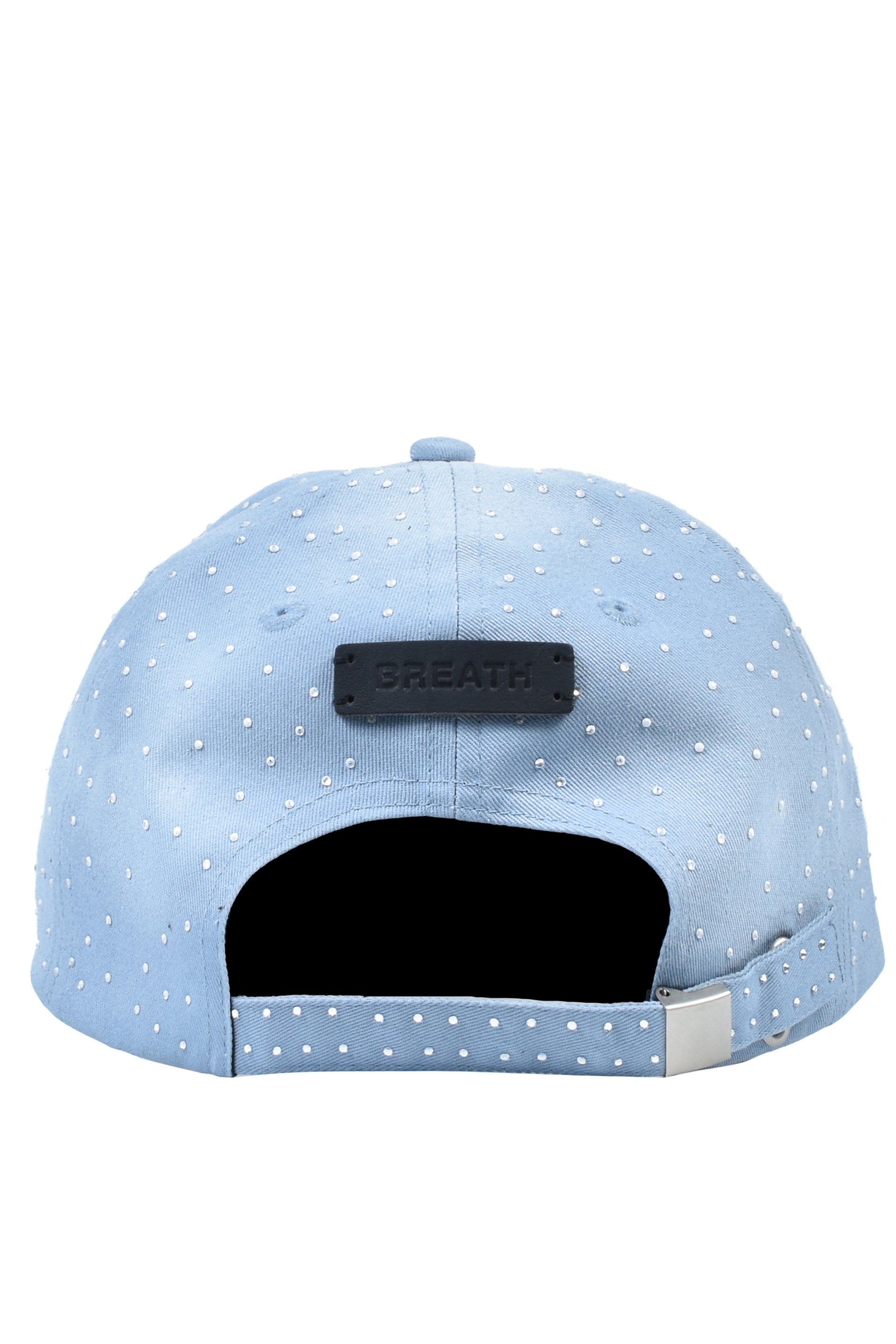 SCRIPT LOGO GLITTER CAP / ICE