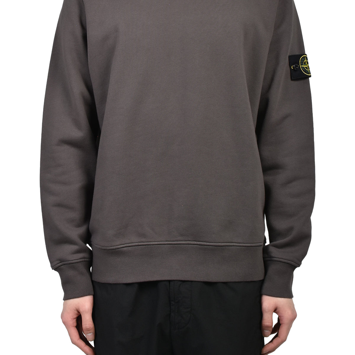 Stone Island ストーンアイランド SS26 SWEATSHIRT / CHA - NUBIAN