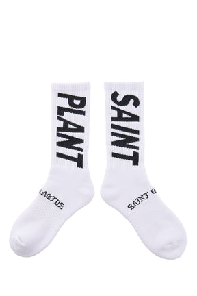 CP_SOCKS/SNT PLANT / WHT