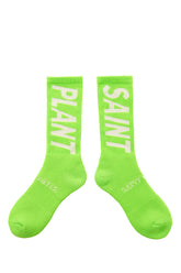 CP_SOCKS/SNT PLANT / LIME