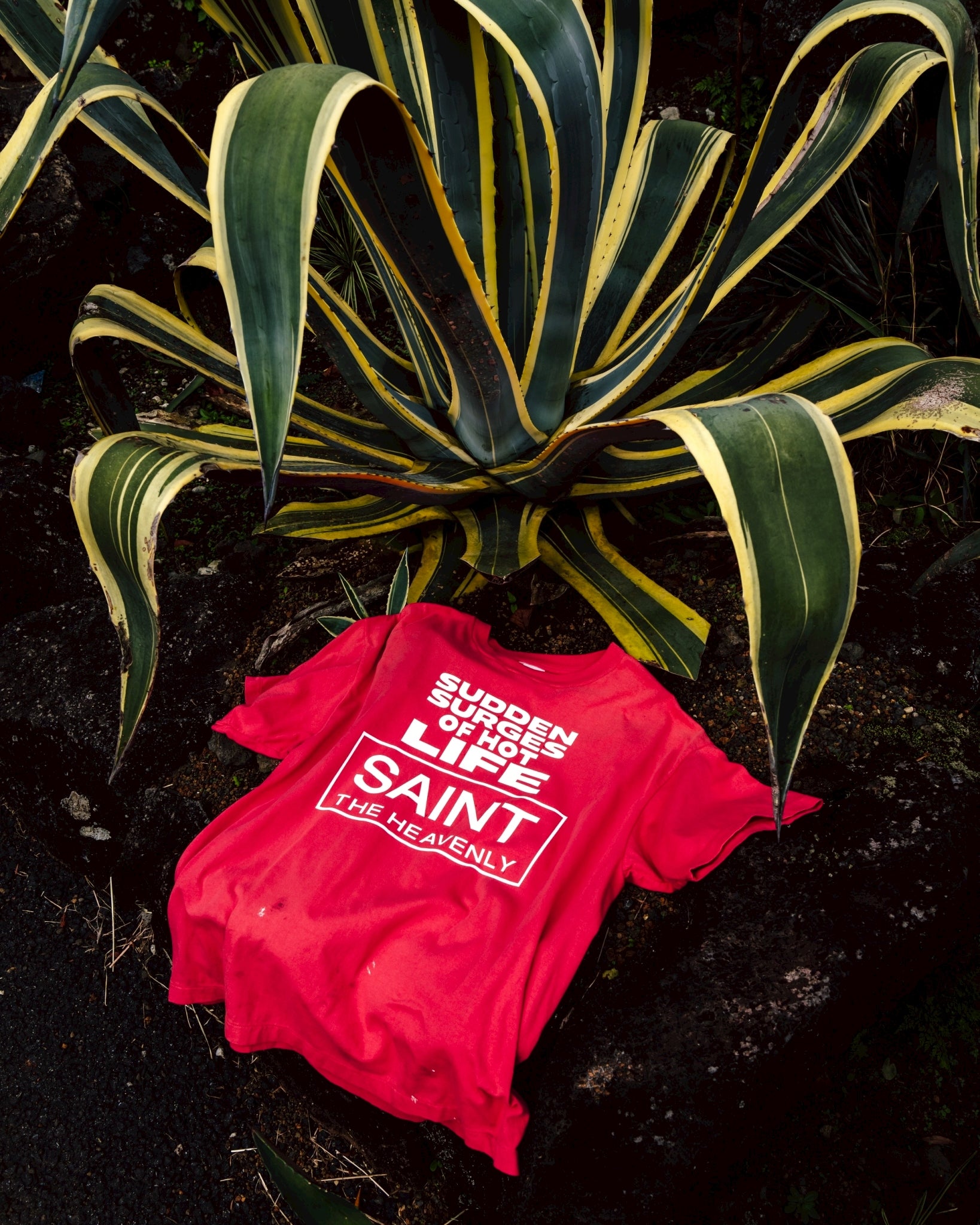 SAINT Mxxxxxx SS25 9th Drop