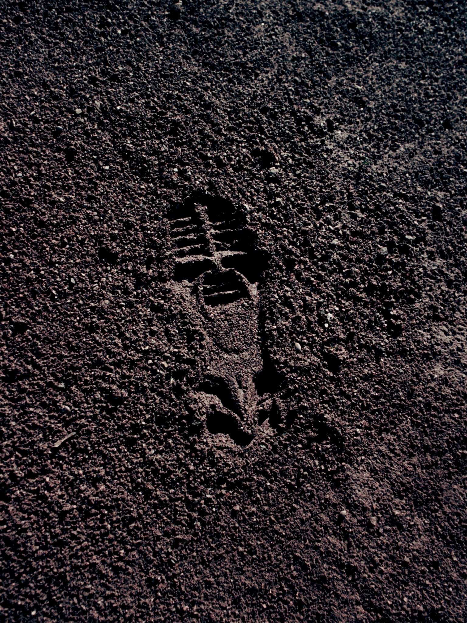 PUMA x NO/FAITH STUDIOS BEISSER