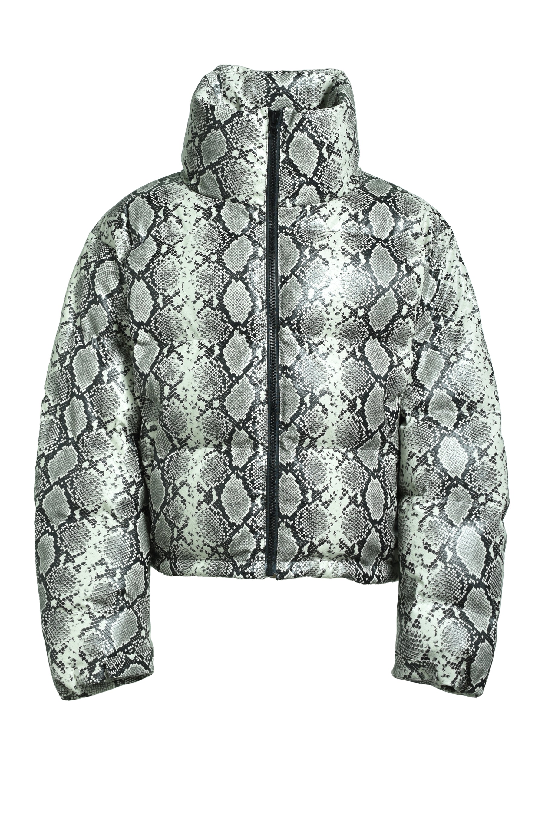 FAUX LEATHER SNAKE DOWN JACKET / GRY SNAKE 