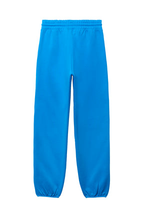 BASK ATHLETICS PANT / BLUE RUSH/CLAY