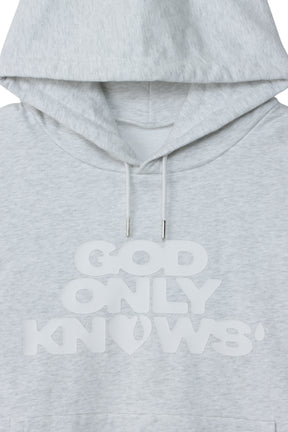 SIGNATURE SWEAT HOODIE / GRY